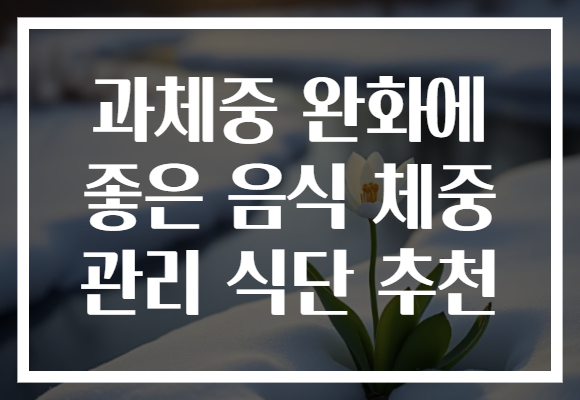 과체중 완화에 좋은 음식 체중 관리 식단 추천