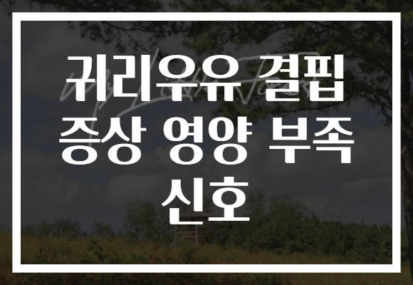 귀리우유 결핍 증상 영양 부족 신호