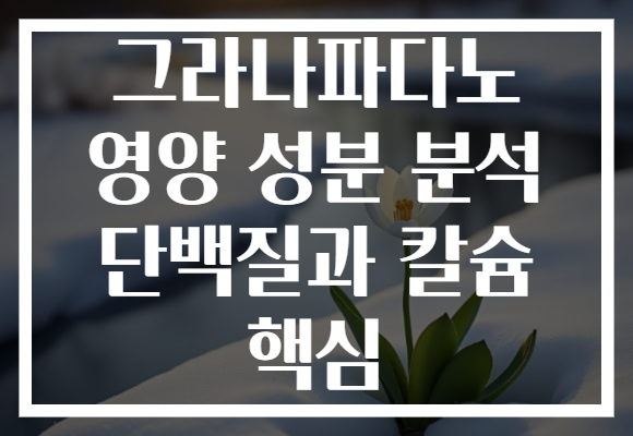그라나파다노 영양 성분 분석 단백질과 칼슘 핵심