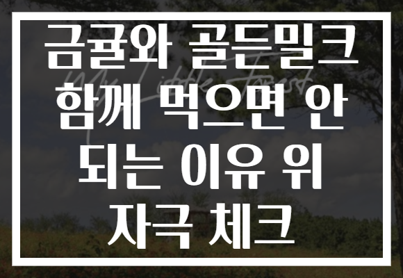 금귤와 골든밀크 함께 먹으면 안 되는 이유 위 자극 체크