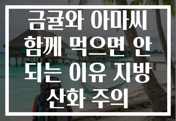 금귤와 아마씨 함께 먹으면 안 되는 이유 지방 산화 주의 금귤와 아마씨 함께 먹으면 안 되는 이유 지방 산화 주의