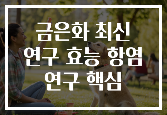 금은화 최신 연구 효능 항염 연구 핵심