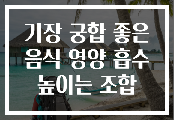 기장 궁합 좋은 음식 영양 흡수 높이는 조합 기장 궁합 좋은 음식 영양 흡수 높이는 조합