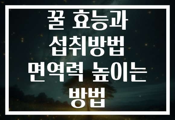 꿀 효능과 섭취방법 면역력 높이는 방법