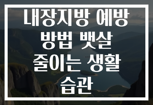 내장지방 예방 방법 뱃살 줄이는 생활 습관