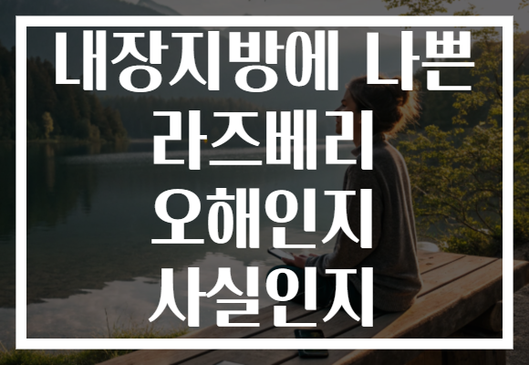 내장지방에 나쁜 라즈베리 오해인지 사실인지
