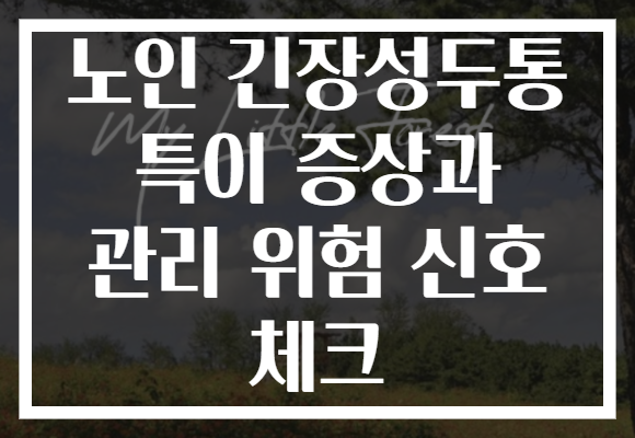 노인 긴장성두통 특이 증상과 관리 위험 신호 체크