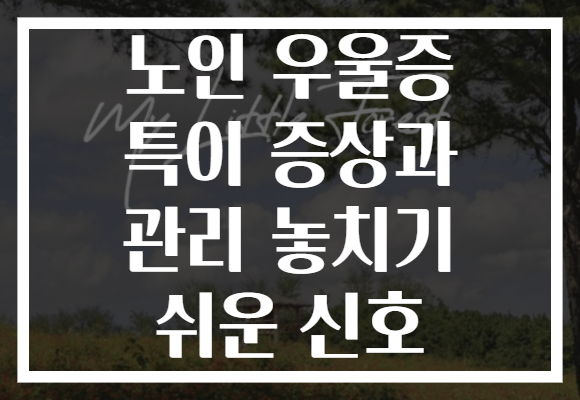 노인 우울증 특이 증상과 관리 놓치기 쉬운 신호 노인 우울증 특이 증상과 관리 놓치기 쉬운 신호