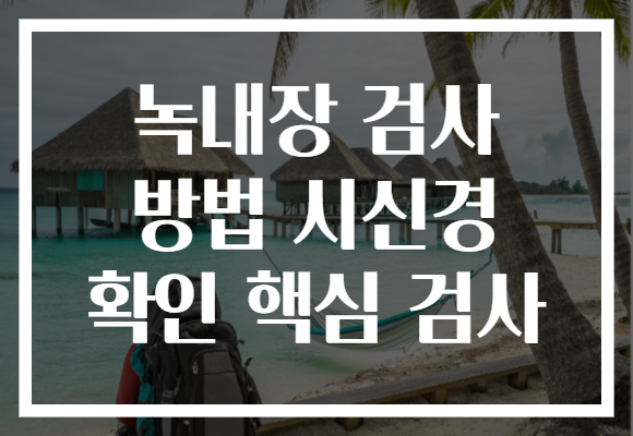 녹내장 검사 방법 시신경 확인 핵심 검사 녹내장 검사 방법 시신경 확인 핵심 검사