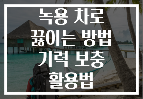 녹용 차로 끓이는 방법 기력 보충 활용법