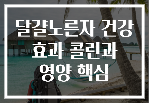 달걀노른자 건강 효과 콜린과 영양 핵심