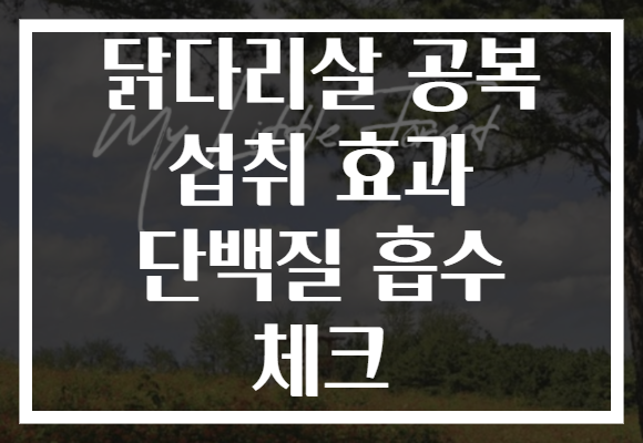 닭다리살 공복 섭취 효과 단백질 흡수 체크