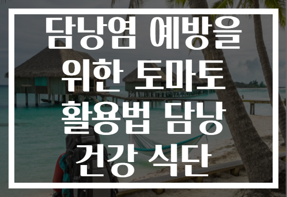 담낭염 예방을 위한 토마토 활용법 담낭 건강 식단