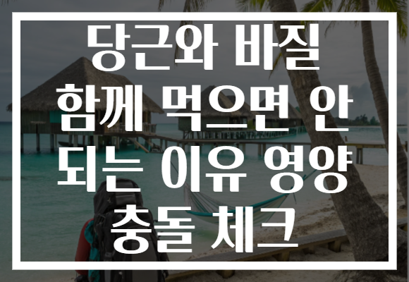 당근와 바질 함께 먹으면 안 되는 이유 영양 충돌 체크