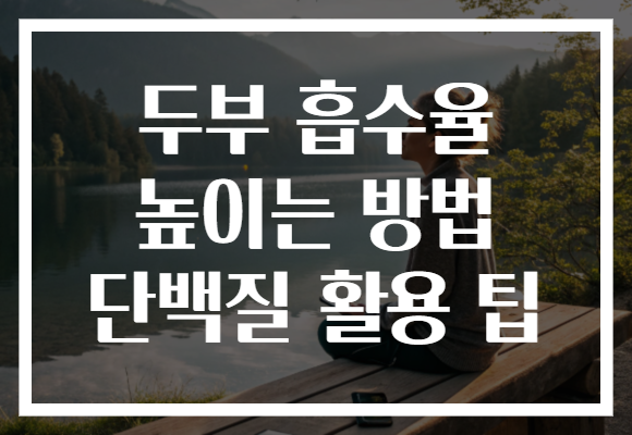 두부 흡수율 높이는 방법 단백질 활용 팁