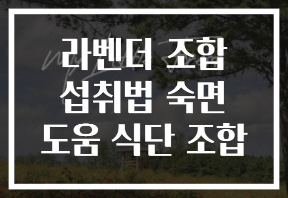 라벤더 조합 섭취법 숙면 도움 식단 조합