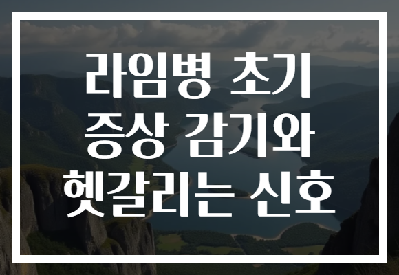 라임병 초기 증상 감기와 헷갈리는 신호 라임병 초기 증상 감기와 헷갈리는 신호