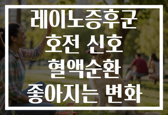 레이노증후군 호전 신호 혈액순환 좋아지는 변화