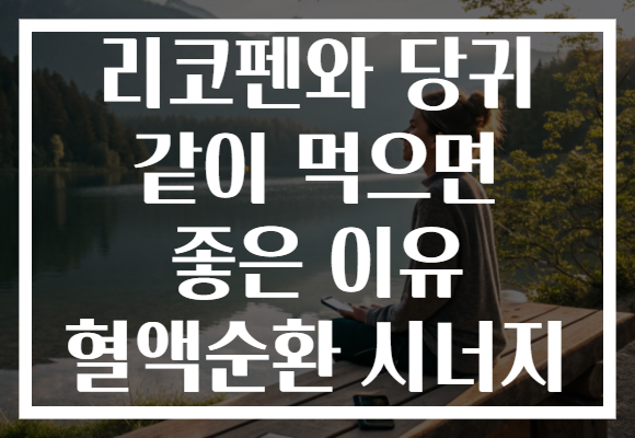 리코펜와 당귀 같이 먹으면 좋은 이유 혈액순환 시너지