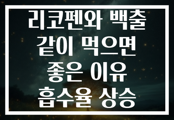 리코펜와 백출 같이 먹으면 좋은 이유 흡수율 상승