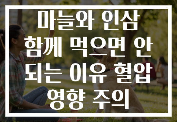 마늘와 인삼 함께 먹으면 안 되는 이유 혈압 영향 주의