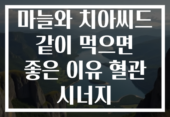 마늘와 치아씨드 같이 먹으면 좋은 이유 혈관 시너지