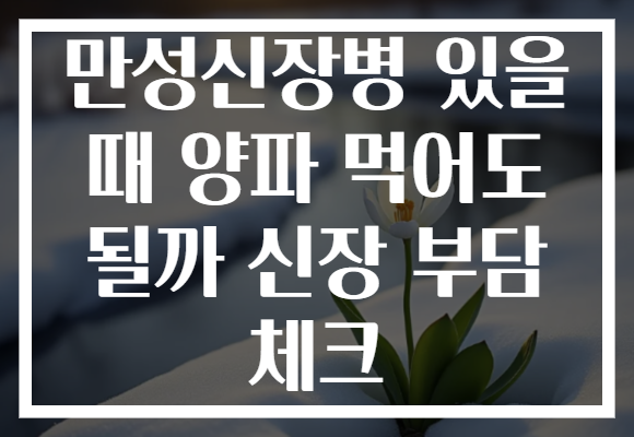 만성신장병 있을 때 양파 먹어도 될까 신장 부담 체크 만성신장병 있을 때 양파 먹어도 될까 신장 부담 체크