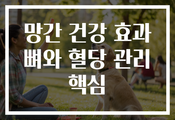 망간 건강 효과 뼈와 혈당 관리 핵심