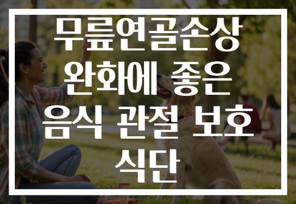 무릎연골손상 완화에 좋은 음식 관절 보호 식단