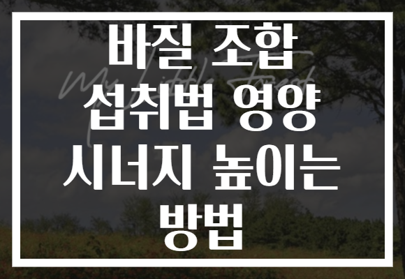 바질 조합 섭취법 영양 시너지 높이는 방법