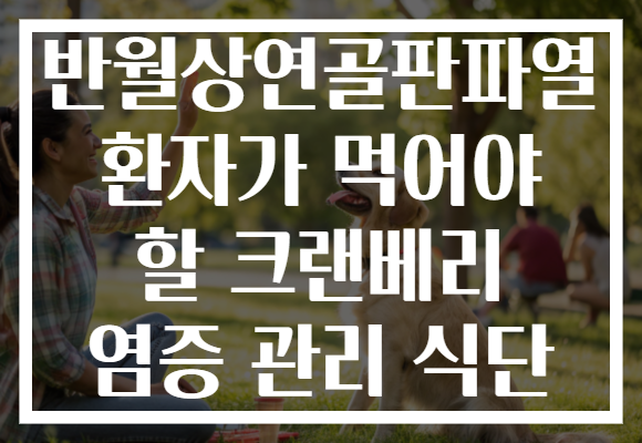 반월상연골판파열 환자가 먹어야 할 크랜베리 염증 관리 식단