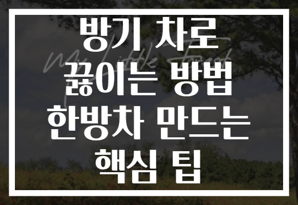 방기 차로 끓이는 방법 한방차 만드는 핵심 팁