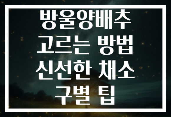 방울양배추 고르는 방법 신선한 채소 구별 팁
