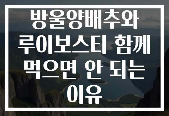 방울양배추와 루이보스티 함께 먹으면 안 되는 이유