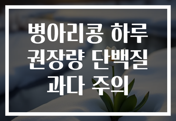 병아리콩 하루 권장량 단백질 과다 주의