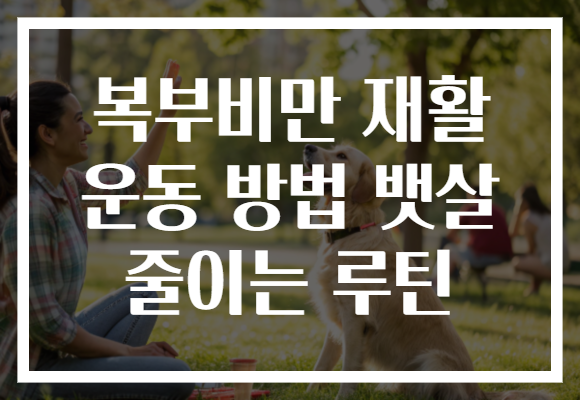 복부비만 재활 운동 방법 뱃살 줄이는 루틴