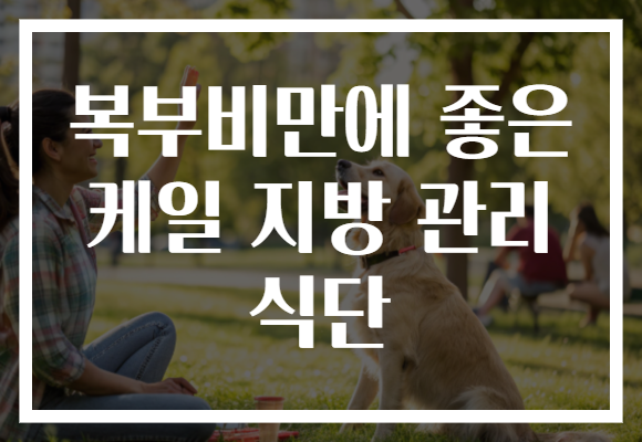 복부비만에 좋은 케일 지방 관리 식단