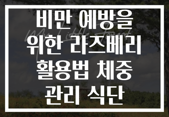 비만 예방을 위한 라즈베리 활용법 체중 관리 식단