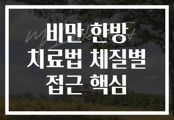 비만 한방 치료법 체질별 접근 핵심