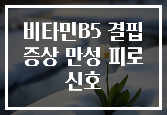 비타민B5 결핍 증상 만성 피로 신호