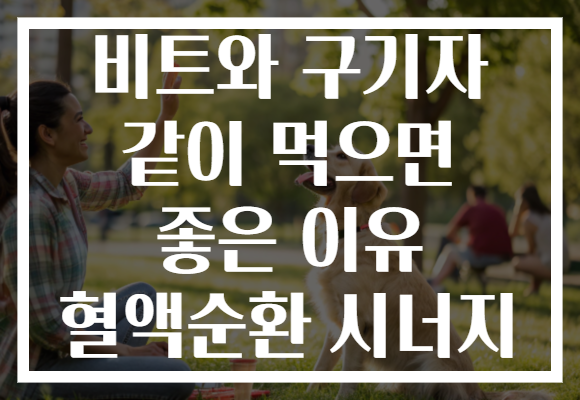 비트와 구기자 같이 먹으면 좋은 이유 혈액순환 시너지