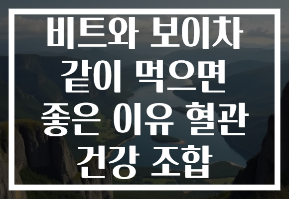 비트와 보이차 같이 먹으면 좋은 이유 혈관 건강 조합