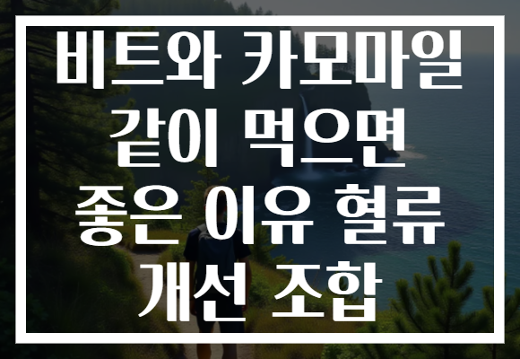 비트와 카모마일 같이 먹으면 좋은 이유 혈류 개선 조합