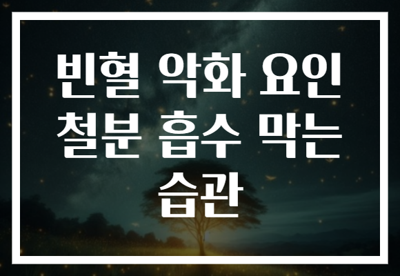 빈혈 악화 요인 철분 흡수 막는 습관