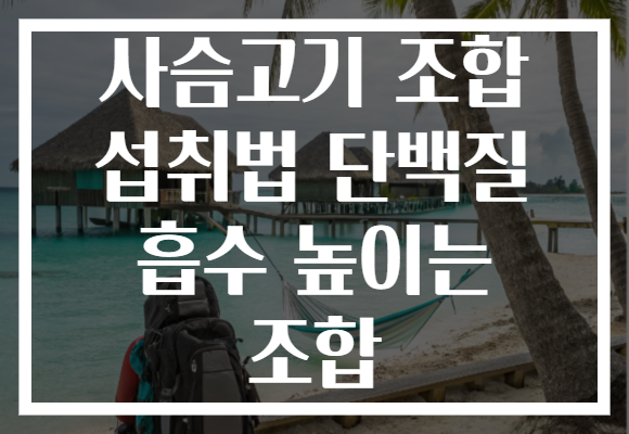 사슴고기 조합 섭취법 단백질 흡수 높이는 조합