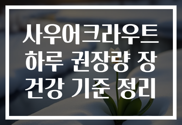 사우어크라우트 하루 권장량 장 건강 기준 정리