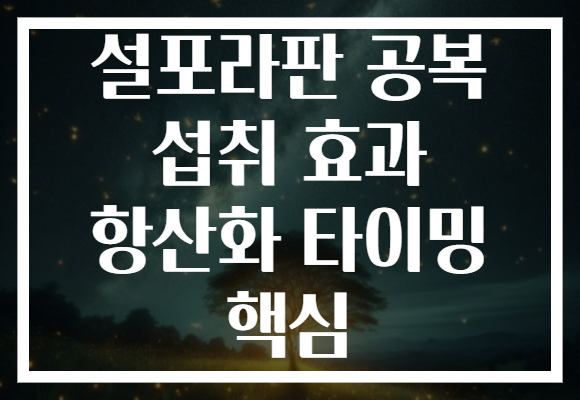 설포라판 공복 섭취 효과 항산화 타이밍 핵심 설포라판 공복 섭취 효과 항산화 타이밍 핵심