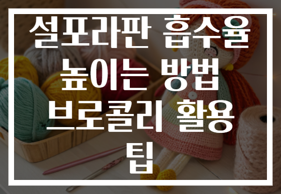 설포라판 흡수율 높이는 방법 브로콜리 활용 팁