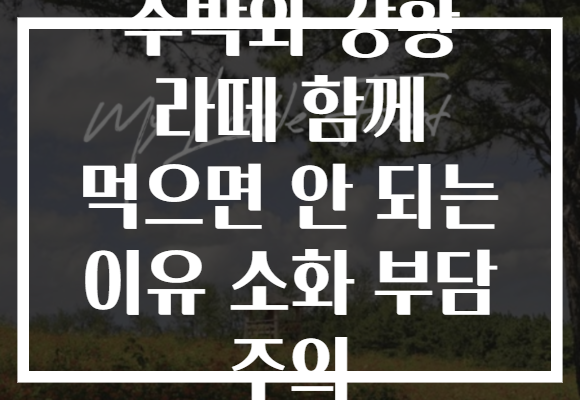 수박와 강황 라떼 함께 먹으면 안 되는 이유 소화 부담 주의