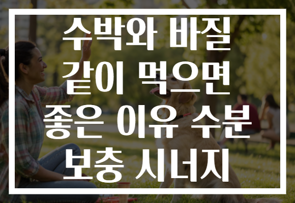 수박와 바질 같이 먹으면 좋은 이유 수분 보충 시너지